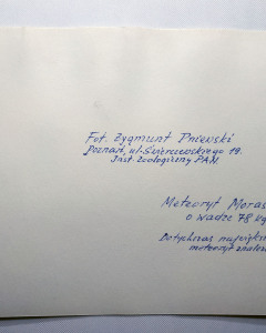 AZP162