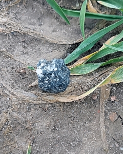 Drugi meteoryt o wadze 8,0g