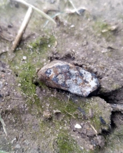 Czwarty okaz Artura o wadze 5,7g